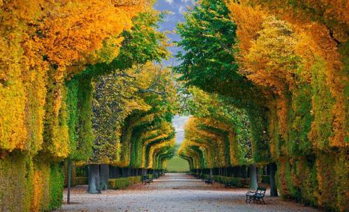 1533782163989423.jpg u=1815637994,1042098731&fm=27&gp=0.jpg